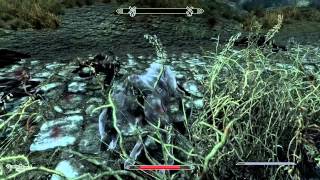 The Elder Scrolls V Skyrim  Best weapons Guide [upl. by Brina]