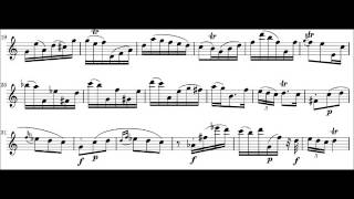 Carl Philipp Emanuel Bach 17141788 Sonata for Solo Flute in A Minor H 562 I Poco Adagio [upl. by Sagerman]