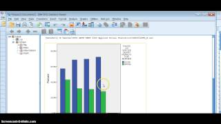 How to Percentage a Cluster or Stacked Bar Graph in SPSS [upl. by Orianna]