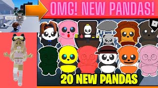 Find The Pandas Updates  20 Locations  Roblox find the pandas Gameplay [upl. by Edahs]