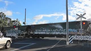 Level Crossing Heywood VIC Australia [upl. by Alroy572]