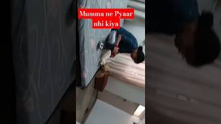 Nenny OR Pari Zoofamjam trending doglover dog ytshorts ytshort yt india viralvideo art [upl. by Emelina]