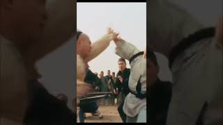 Jet Li in Fong Sai Yuk jetli 李连杰 fongsaiyuk 方世玉 [upl. by Lessard]