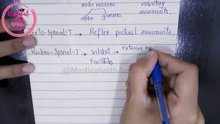 FUNCTIONS OF DESCENDING TRACTS OF SPINAL CORD IN EASY WAY  NEUROANATOMY [upl. by Coats]