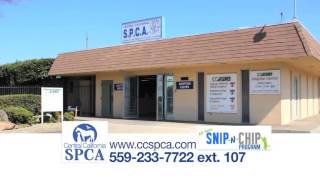 SNIP N CHIP  Central California SPCA SpayNeuter Program [upl. by Nirag]