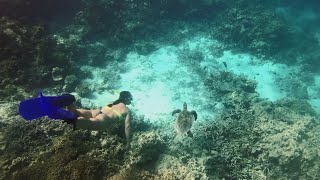 Embudu Village  Diving and Snorkeling [upl. by Terzas254]