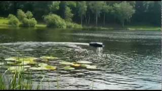 Waverunner Atom´s Maneuverability And Through Water Lilies [upl. by Sllew]