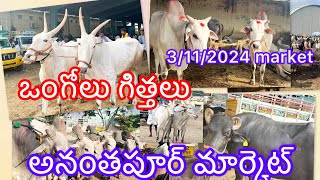 పశువుల సంత అనంతపూర్ మార్కెట్ Sunday ఒంగోలు గిత్తలు buffaloes market Anthapuram [upl. by Nolte]