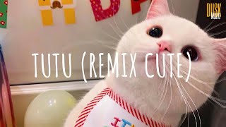 tutututititu Tutu  DJ Komang Rimex  Vietsub  Lyric Tik Tok Song [upl. by Carie]