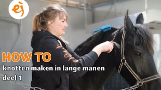 HOW TO KNOTTEN maken in LANGE MANEN  Deel 1  67  Epplejeck [upl. by Ginevra607]