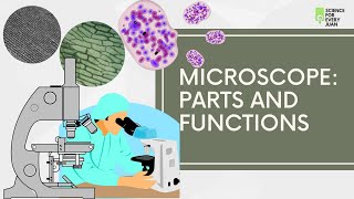 Microscope Parts and Functions  Science [upl. by Atsirk555]