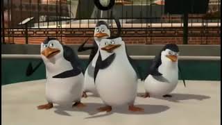 The Penguins of Madagascar Intro Reversed [upl. by Burtie]