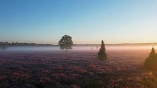 Der Vorteil von Wandern in der Lüneburger Heide [upl. by Pilloff]