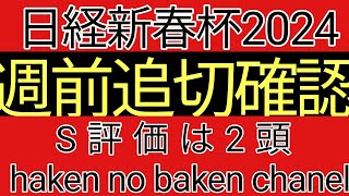 日経新春杯2024 週前追切確認 S評価は2頭 [upl. by Naras]