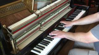 Piano droit CBECHSTEIN Millenium 116 K 1 EML PIANOS [upl. by Haon803]