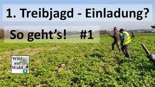 🦌10 Dinge die du auf deiner ersten Treibjagd beachten solltest Teil 1 [upl. by Aicnelav463]