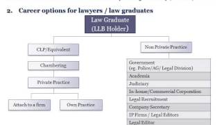 The Career Options for Lawyers and Law Graduates [upl. by Aytac660]