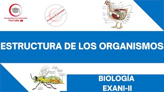 ESTRUCTURA DE LOS ORGANISMOS  BIOLOGÍA  EXANIII 2024 [upl. by Reiche]