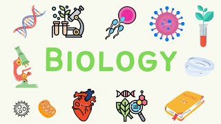 9 A Level Biology  Homeostasis 🌡 [upl. by Nylad]