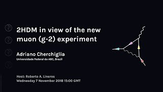 Adriano Cherchiglia 2HDM in view of the new muon g2 experiment  Webinar 70 [upl. by Senalda837]