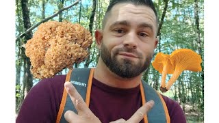 Je fais une découverte incroyable  A la recherche de Champignons  Chanterelles  Sparassis Crépu [upl. by Suivat941]