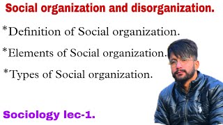 Social organization  definition Elements and types lec1 bscnursing gnm sociology [upl. by Irrok]