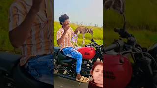 गाड़ी पर बकरी पालन comedy cutegoats farmlife animals funny [upl. by Burk486]