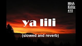 Ya lili  slowed amp reverb  music song remix [upl. by Reifel544]