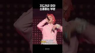 24년 마마 여러분의 최애 장면은 지드래곤 태양 대성 [upl. by Llenrad41]