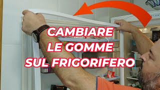 COME CAMBIARE LA GOMMA DELLA GUARNIZIONE DI UN FRIGORIFERO BALAY tutorial frigorifero ❄️ [upl. by Namielus232]