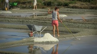 The Salt Marshes of Guérande Brittany France [upl. by Egnalos625]