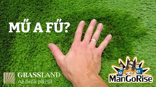 ManGoRise x GRASSLANDHU  néha Mű A FŰ [upl. by Esina]