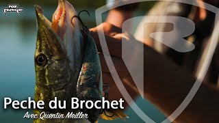 Pêche du BROCHET en SAONE avec Quentin Meiller [upl. by Nairde]