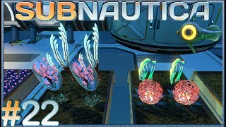 Hatching Enzymes  Episode E22  Subnautica Gameplay [upl. by Jemmie]