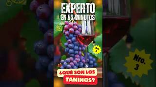 ¿Qué Son Los TANINOS Saber de Vinos en 50 MINUTOS  Tutorial de VINOS [upl. by Netsyrk]