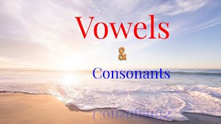 Vowels and Consonants in English  English Conversation  Dialogue English  vowels consonents [upl. by Acirretahs]