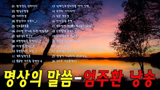 명상의말씀 명상의말씀 엄주환 엄주환 명상의 말씀 불교명상말씀 부처님말씀 🌼 원각경을 설하시다 발심수행장 아미타경 우리말 자녀를 위한 발원문 목련존자의 효성 [upl. by Inverson14]