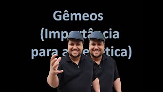 Gêmeos importância para a Genética [upl. by Jarvis]