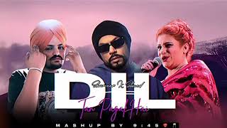 Dill Tan Pagal Hai Sidhu Moose wala X Naseebo Lal X Bohiemia  Mashup songs [upl. by Gadmann]