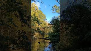 autumnbeauty Wanaque River at Back Beach Park fall2024 [upl. by Loredana]