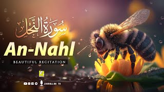 Surah An Nahl سورة النحل Best Quran recitation in the world  BEAUTIFUL VOICE  Zikrullah TV [upl. by Acinelav]