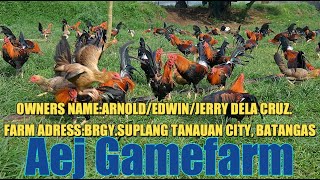 Lets Visit The Farm Of Aej Gamefarm [upl. by Odnaloy]