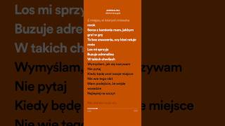 Michał Szczygieł ADRENALINA  Lyrics [upl. by Elna929]