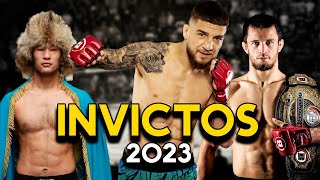 TOP 7 Peleadores INVICTOS en MMA 2023 [upl. by Anahir]