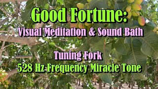 Good Fortune Visual Meditation amp Sound Bath with 528Hz Miracle Tone Tuning Fork [upl. by Anerom]