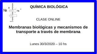 Estructuras de membranas biológicas [upl. by Ttenna377]