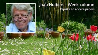 Jaap Huibers  Week column  Paprika gezond met een kleine waarschuwing [upl. by Ahseyn]