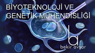 YKS BİYOTEKNOLOJİ VE GENETİK MÜHENDİSLİĞİ [upl. by Ratib]