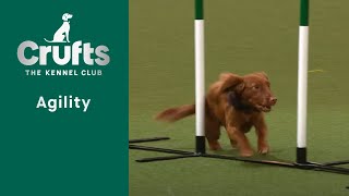 Agility – Championship – SM  Final   ​Crufts 2023 [upl. by Jennilee]