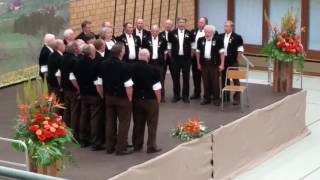 Jodlerklub Wattenwil Jodlerfest Steffisburg 2016 [upl. by Justinn]